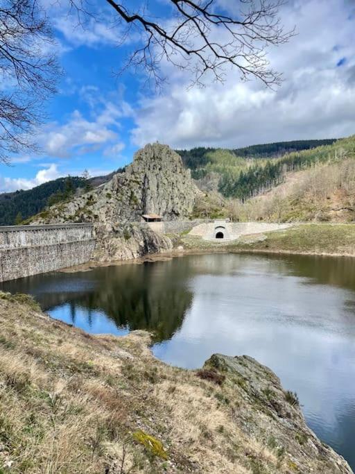 Апартаменты Le Repos Du Pilat Proche A 10 Min Saint Etienne Экстерьер фото